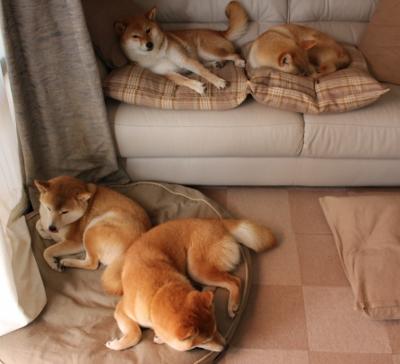 随机战术演绎：不同球队的特色攻防战术分析，篮球比赛中,攻防战术都包括