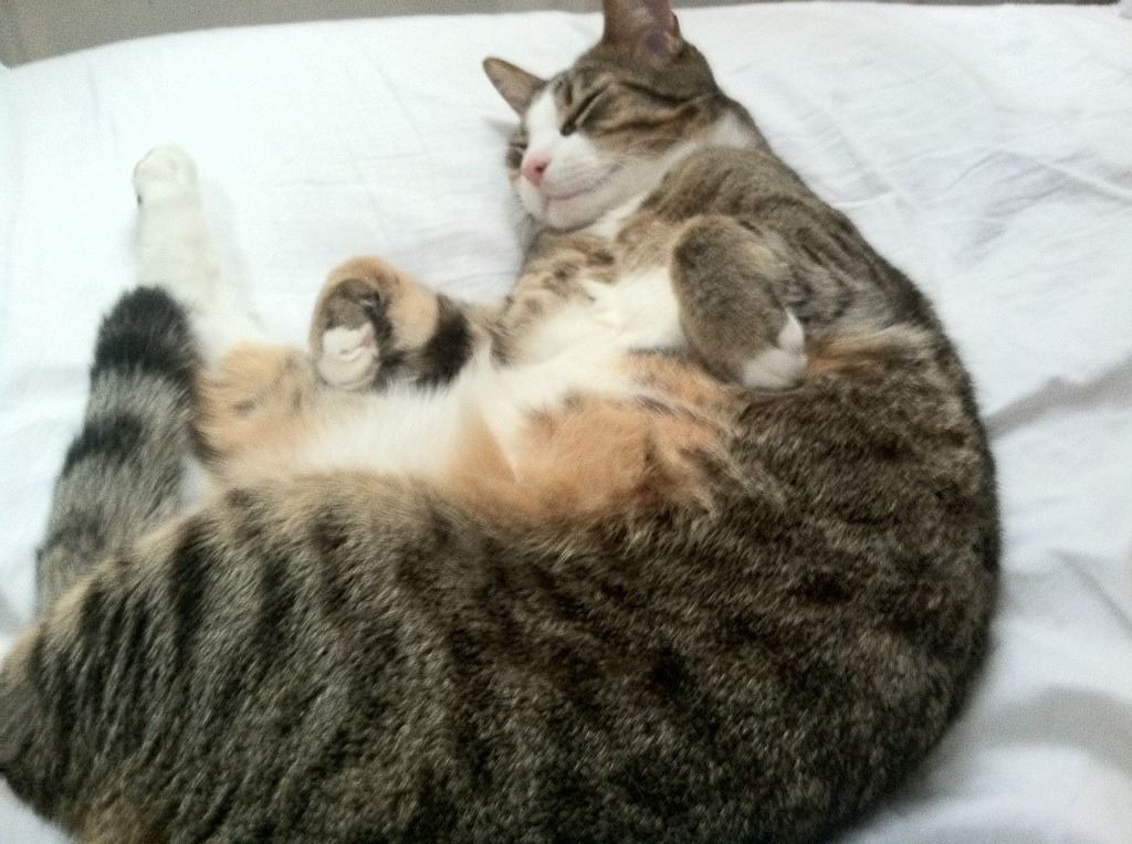 随机热火靠巴特勒在最后关头的“神级绝杀”逆转战局！，热火巴特勒哪去了