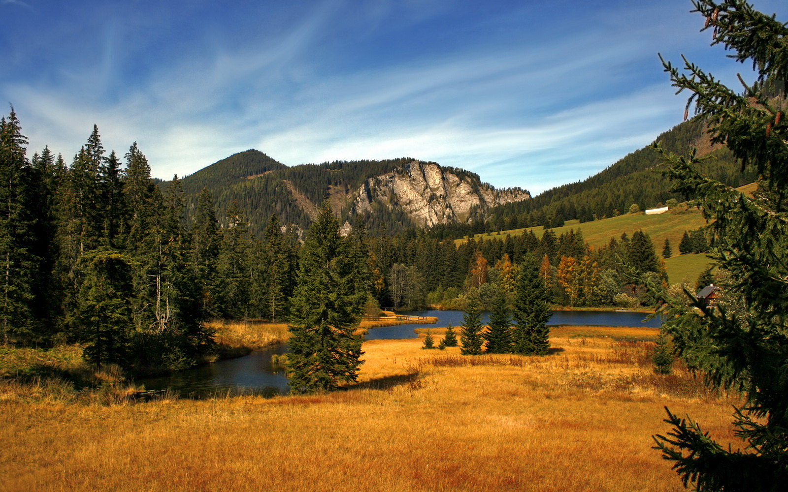 随机逆转奇迹：那些让人热血沸腾的比赛瞬间，逆转2021