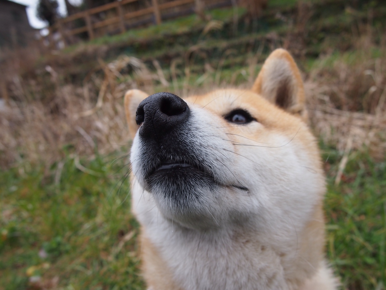 随机AC米兰队签下新后卫，增加阵容深度，ac米兰历史中后卫