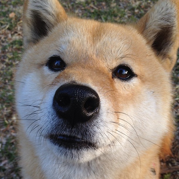 随机中超联赛新赛季火爆开启，球队竞争白热化，中超新赛季各队名单