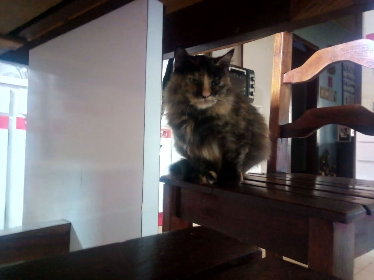 随机丹麦战队 CPH Wolves 在 RMR 赛事中成功晋级，丹麦队官网