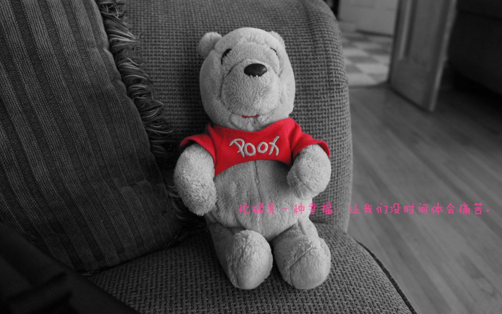 随机南安普顿主场大胜西布朗，英超保级希望重新燃起，南安普顿vs布莱顿直播