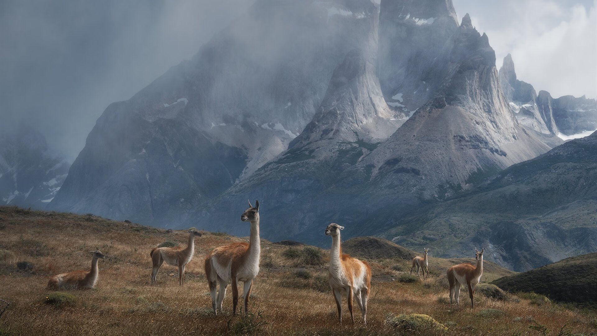 开云官方网站-日本队获得亚洲杯冠军，国内球迷欣喜不已，日本亚洲杯大名单