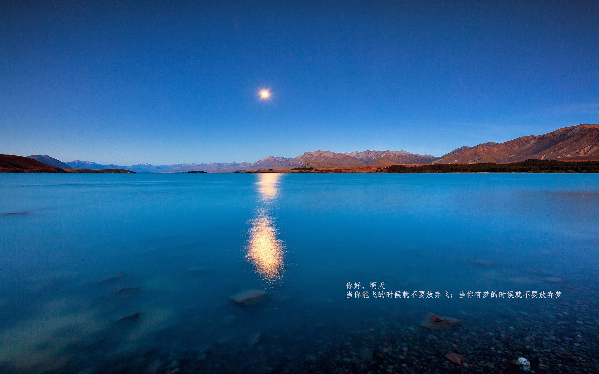 开云下载-西班牙出人意料地遭遇劲敌，输球令人瞩目，西班牙赢球