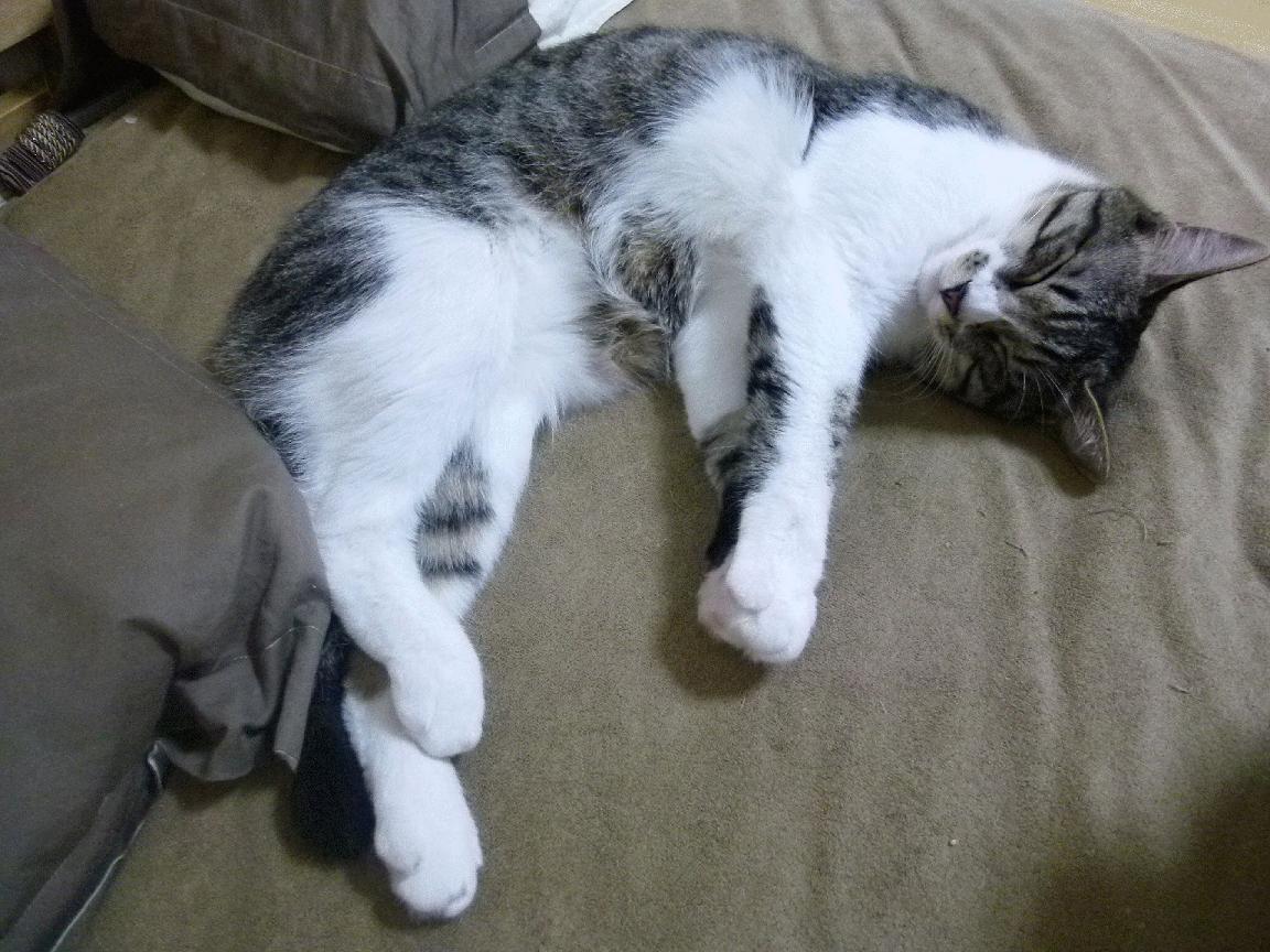 kaiyun官方入口登录-豪门是否面临青训球员上位通道阻塞问题，出生豪门青训的中场