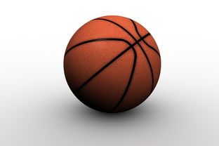 开云官网-中国篮球职业俱乐部青训人才培养路径探索，篮球青训队招聘条件