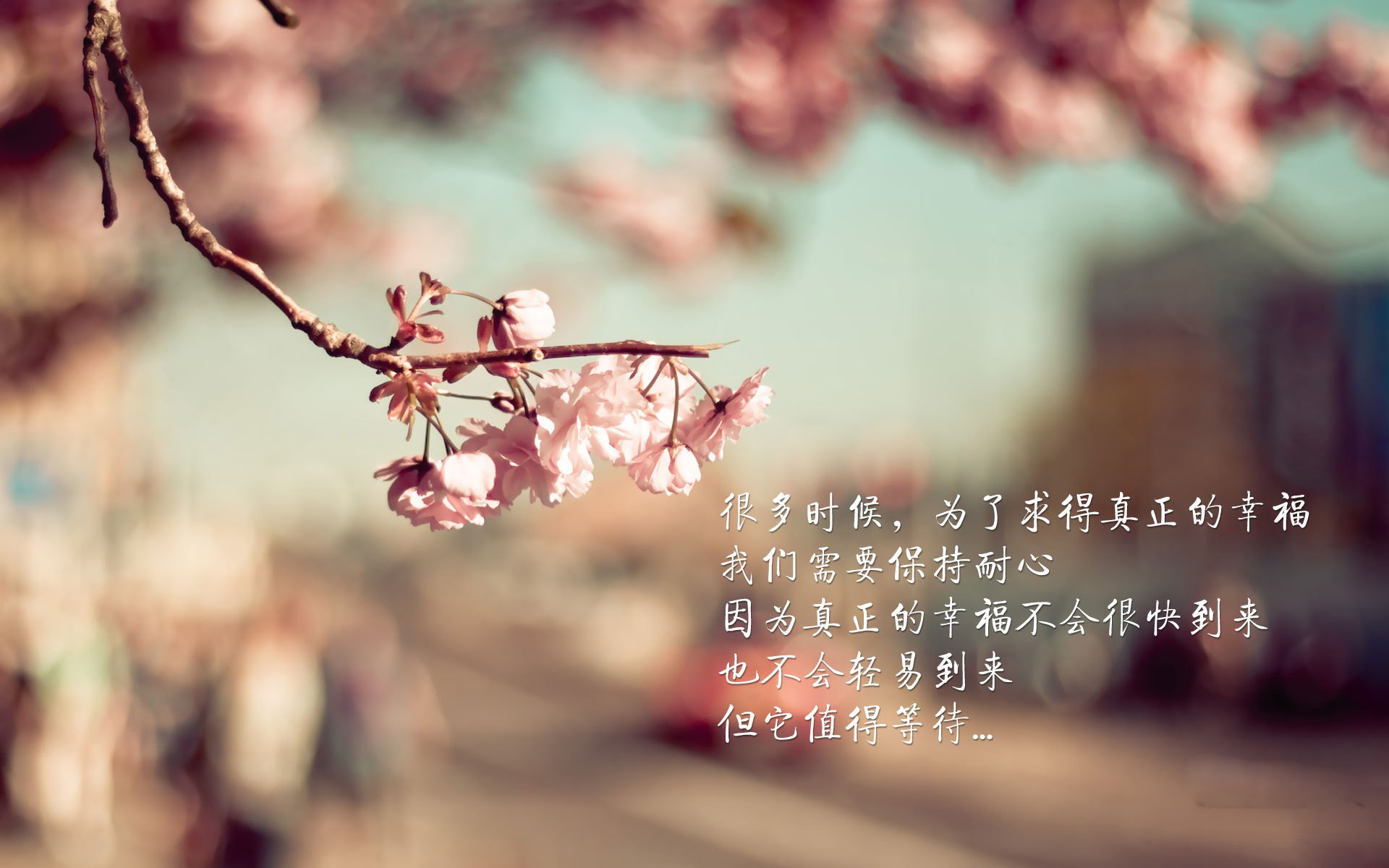 KAIYUN 中国大陆-世界杯巅峰夜：破门、扑救、助攻精彩纷呈！，世界杯爆冷夺冠