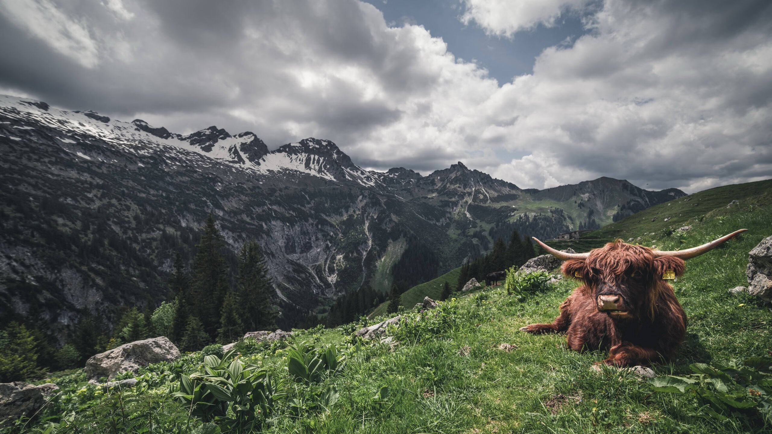 开云·体育官方网站入口-中国足球联赛推动青少年比赛数据标准化，全国青少年校园足球联赛规则