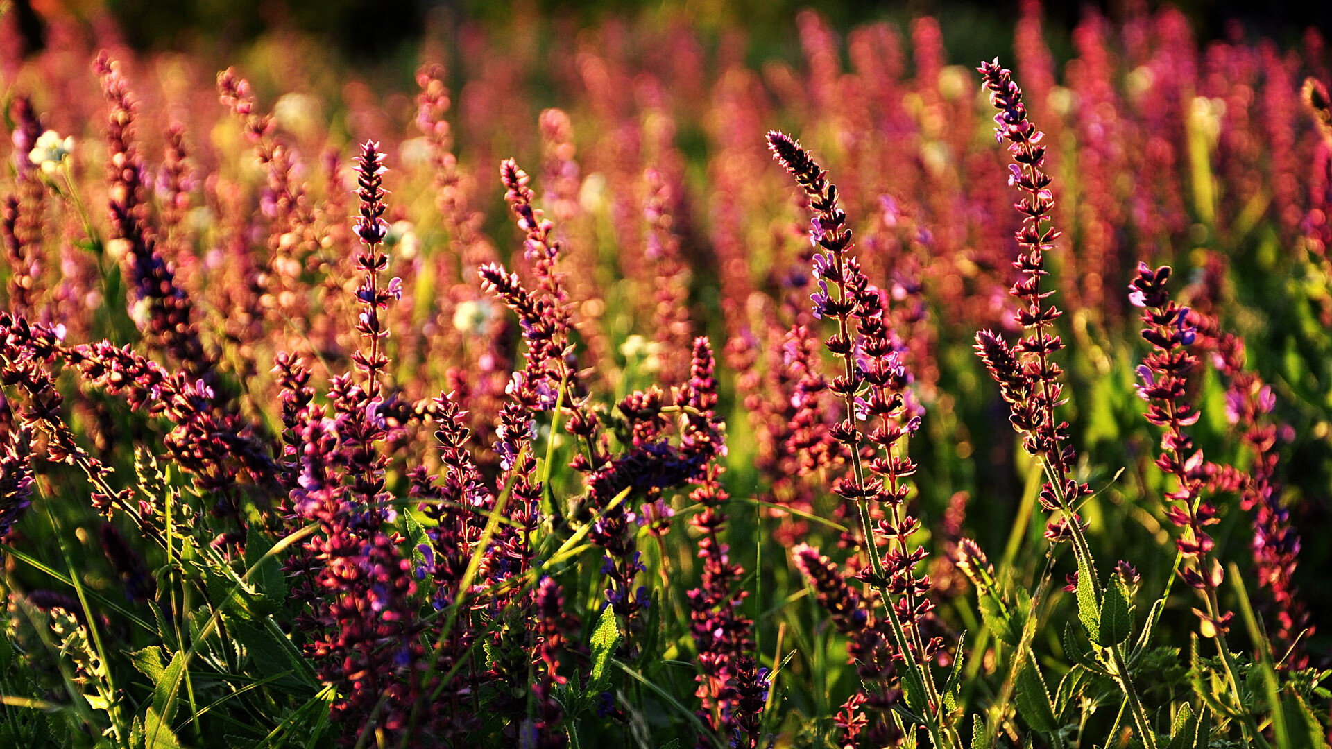 KAIYUN 中国大陆-勇士旧将归队参加退役典礼暖心瞬间，勇士队退役的球员有哪些