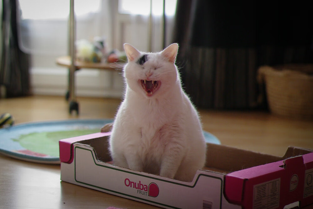 开云在线直播-球队防守效率数据公开，分析师受邀解读战绩波动，nba2021球队防守效率值