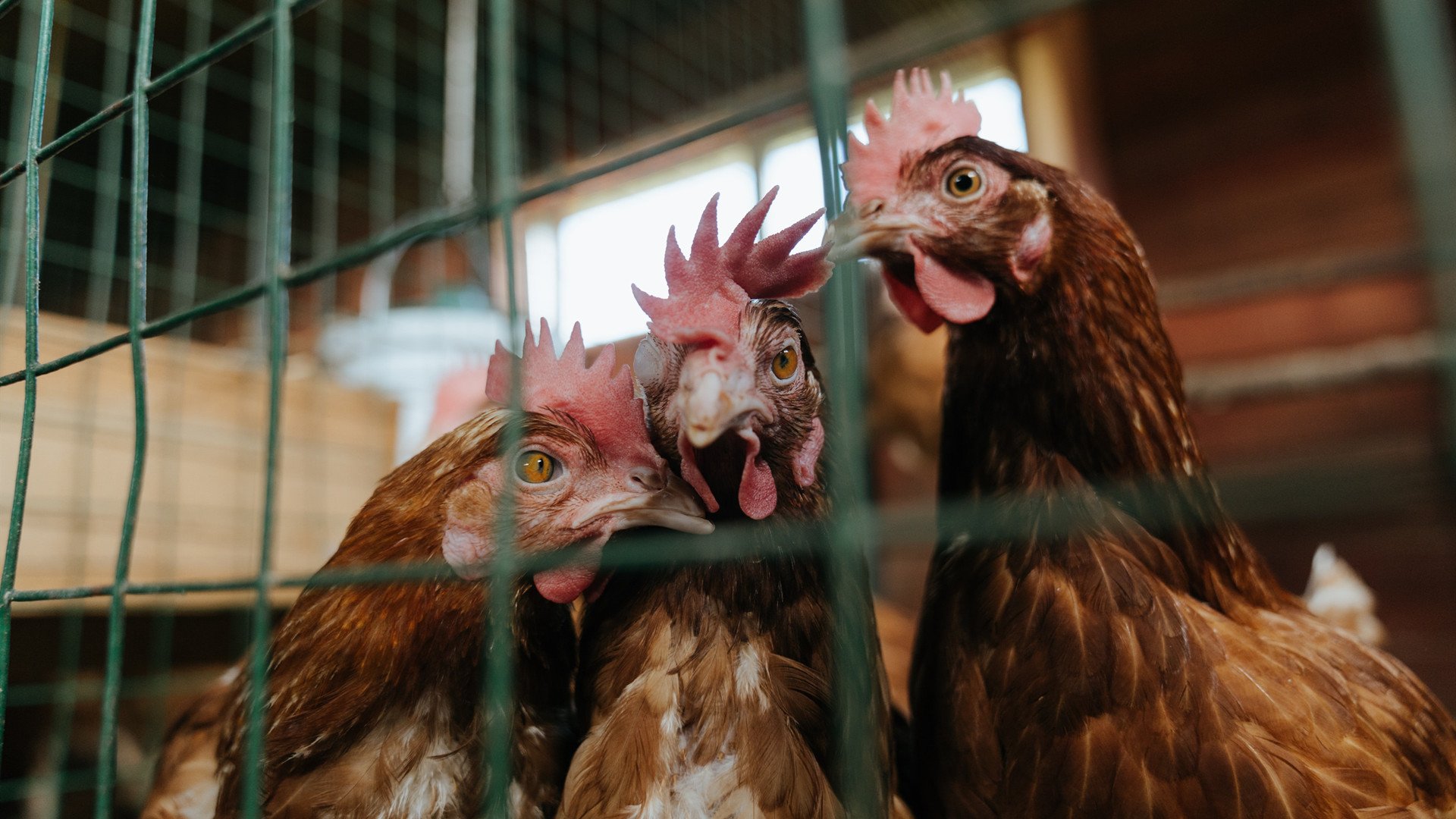 开云下载-西甲闪耀全场：明星绝技让对手汗颜，西甲十大球星