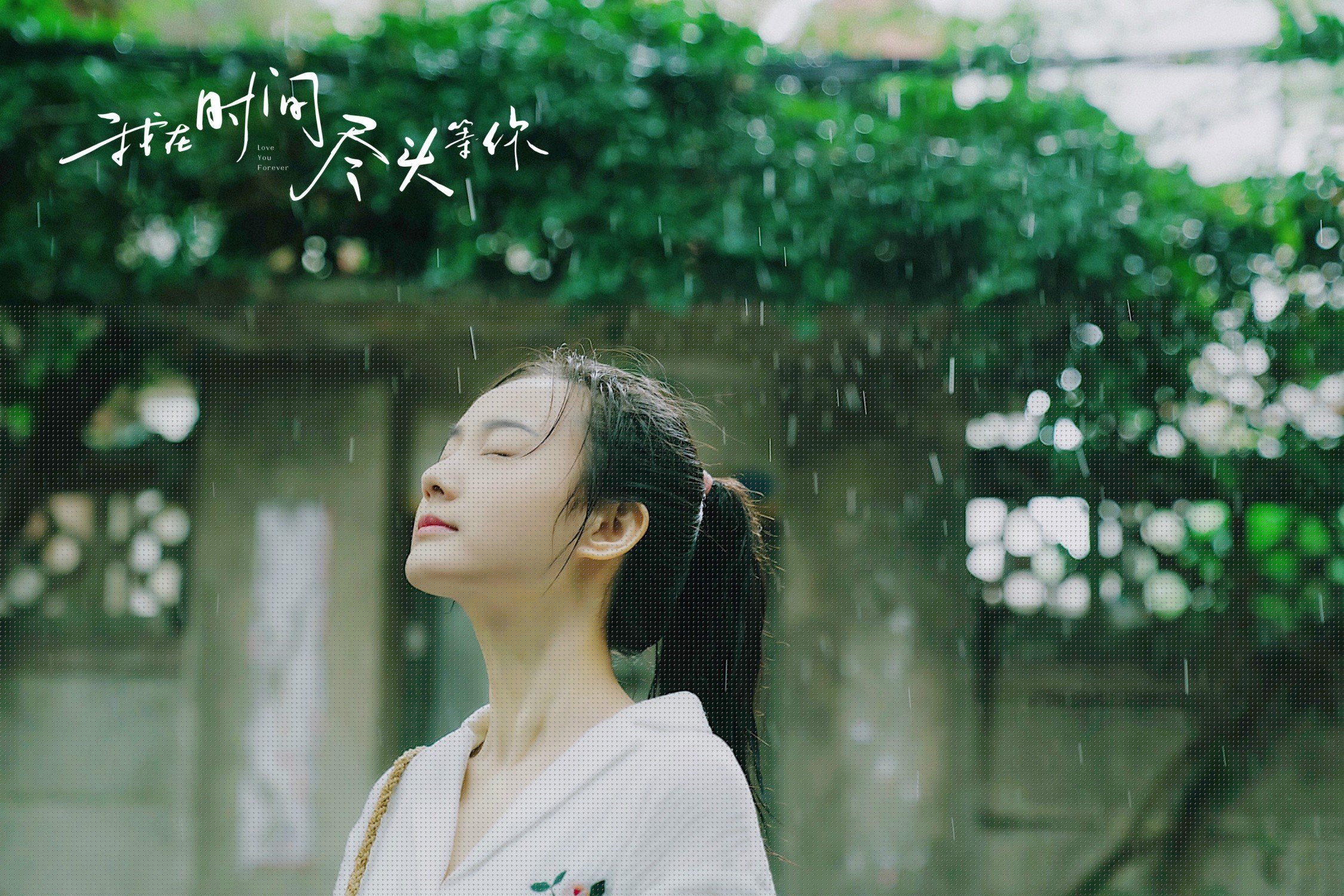 马术锦标赛赛事亮点汇总,马术锦标赛视频